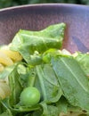 Fussili con chícharos, arúgula y tahini verde