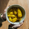 🌶️ Shifka Hot Peppers – Crujientes, picantes y llenos de carácter